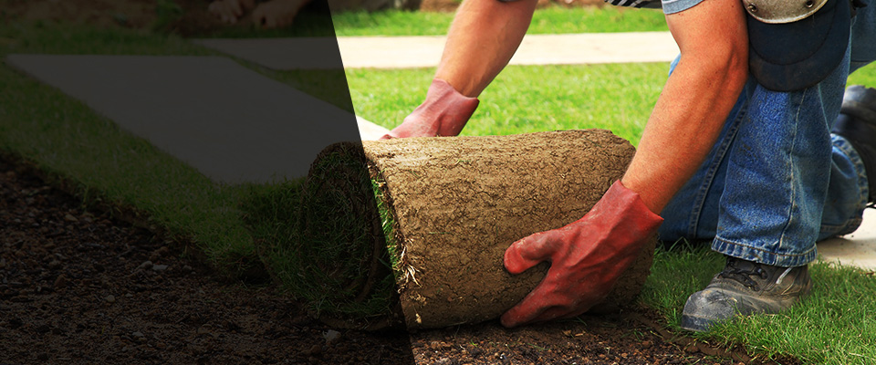 Culpeper Landscapers
